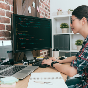 Cómo funciona la web